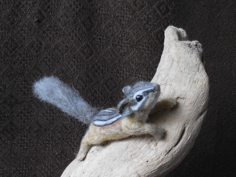 Chipmunk 31 (Another Baby)
