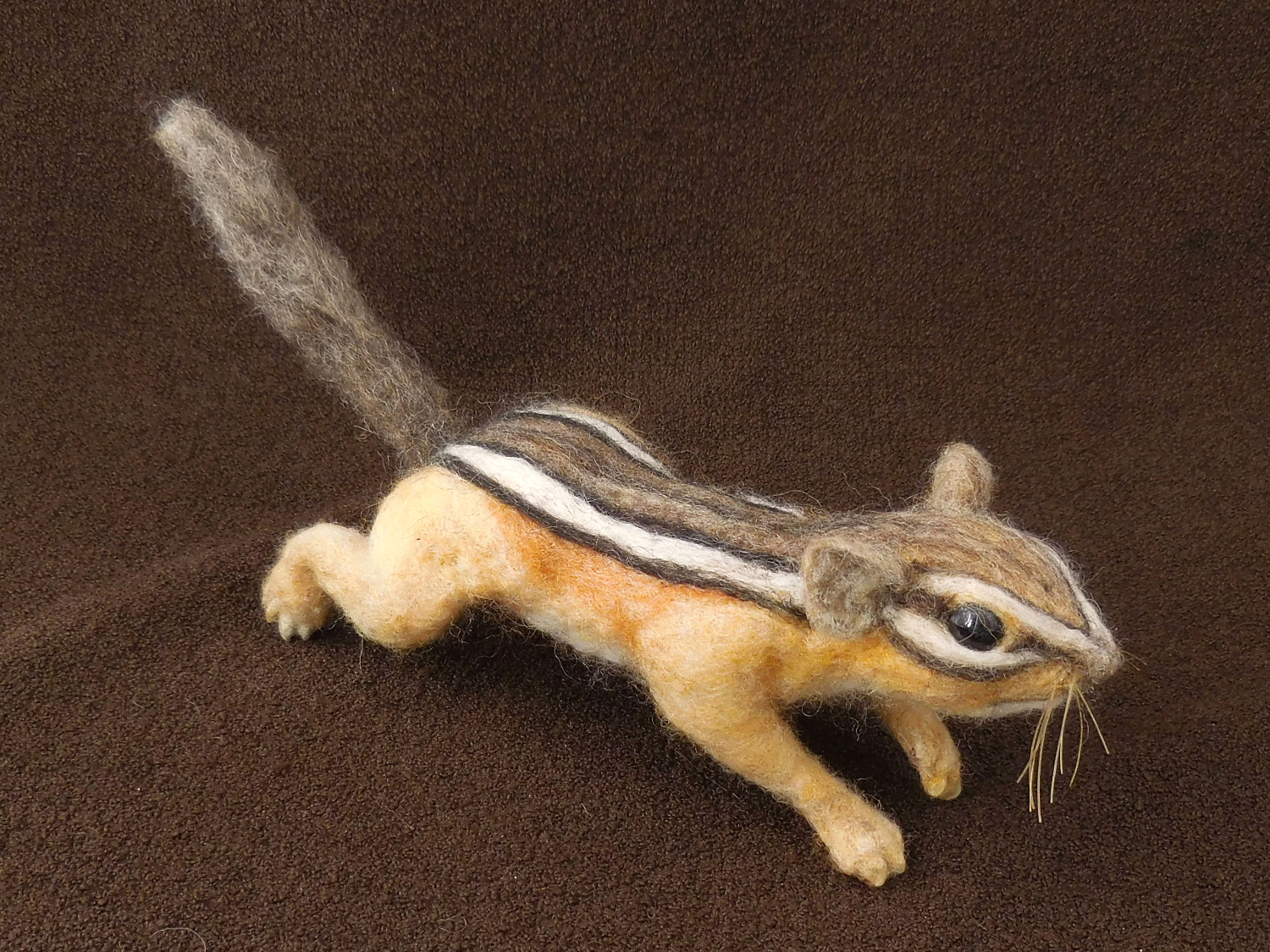 Chipmunk 34