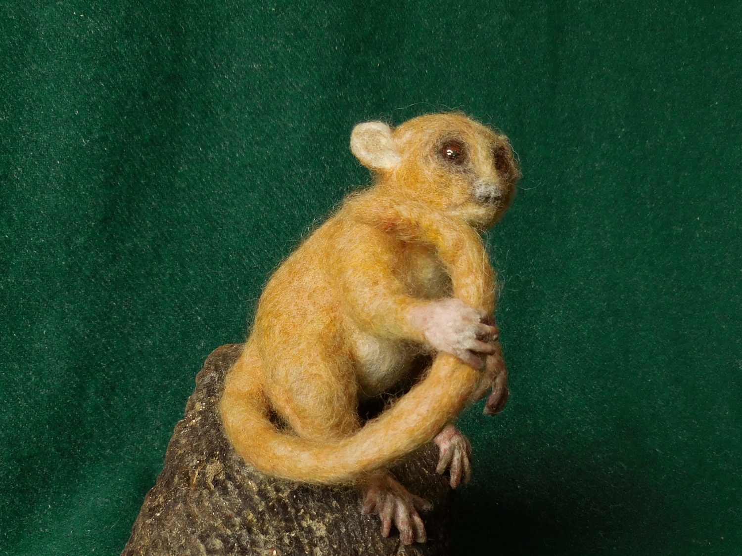 Mouse Lemur